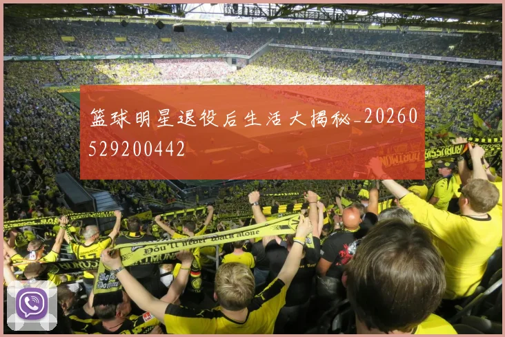 篮球明星退役后生活大揭秘_20260529200442